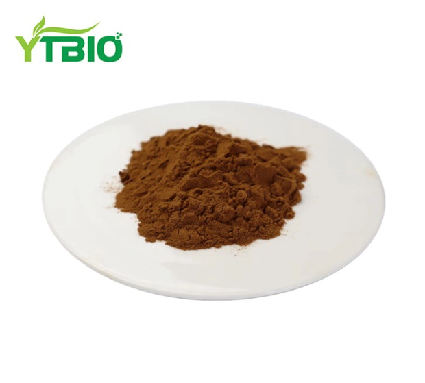 Safflower Extract Powder